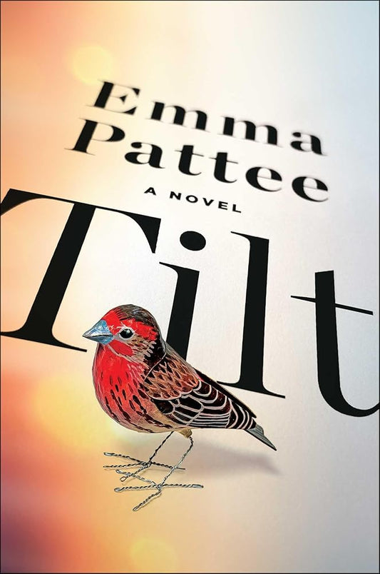 Tilt: A Novel cover image